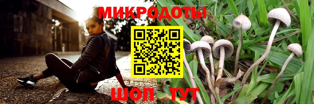 Галлюциногенные грибы Cubensis Ростов Великий